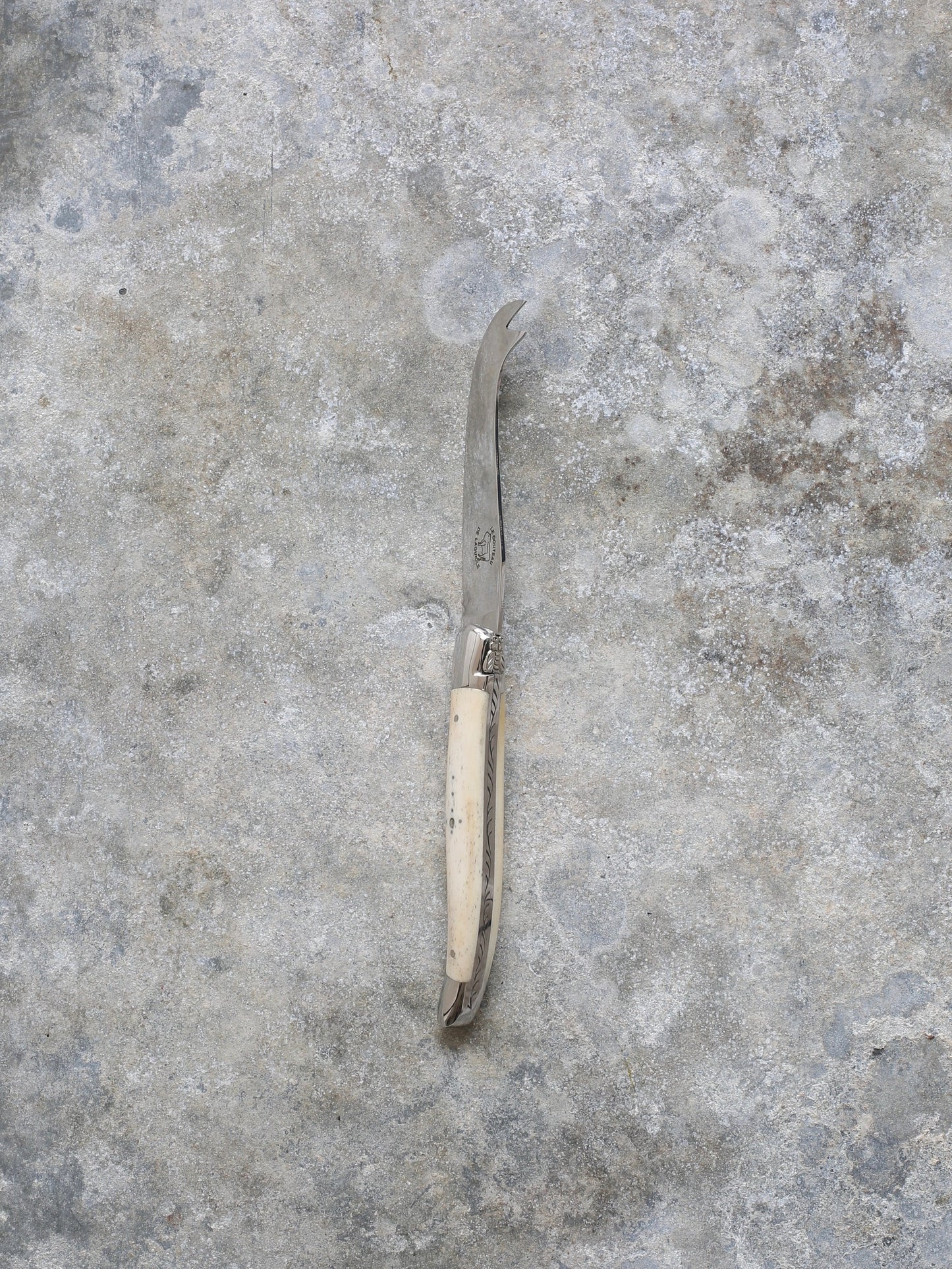 French Cheese Knife