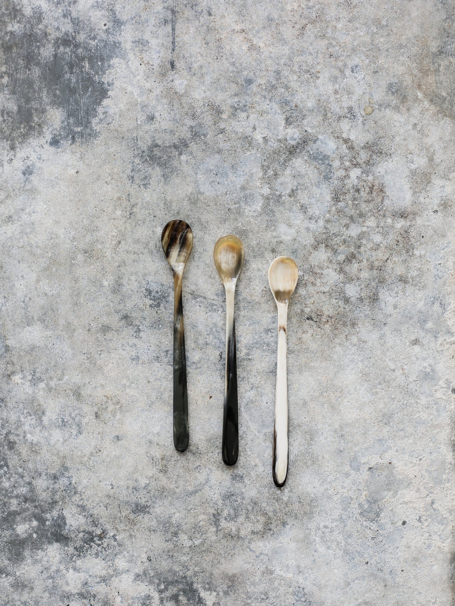 Horn Spoon