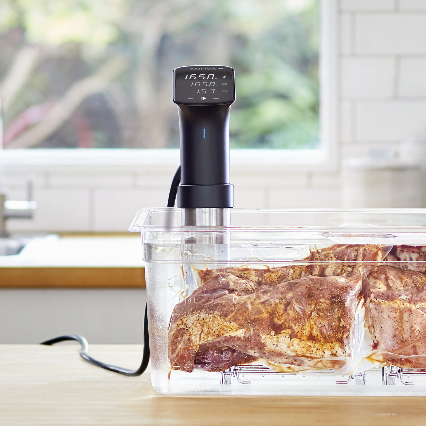 Anova Precision® Cooker Pro