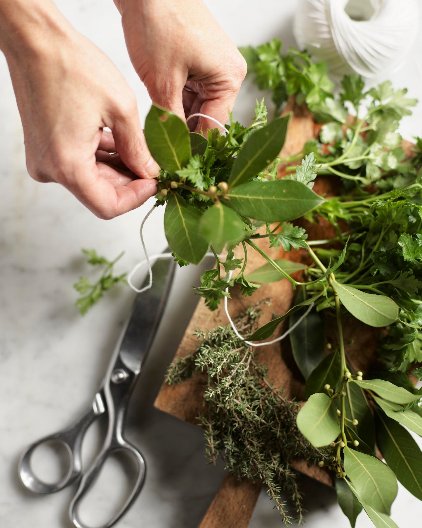 Kitchen Shears