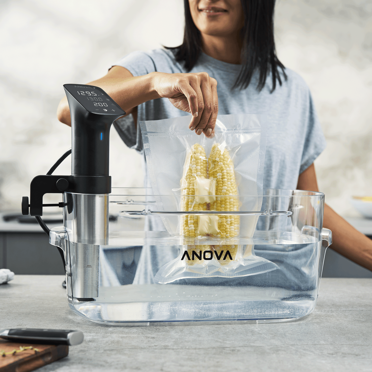 Anova Precision™ 16L Container