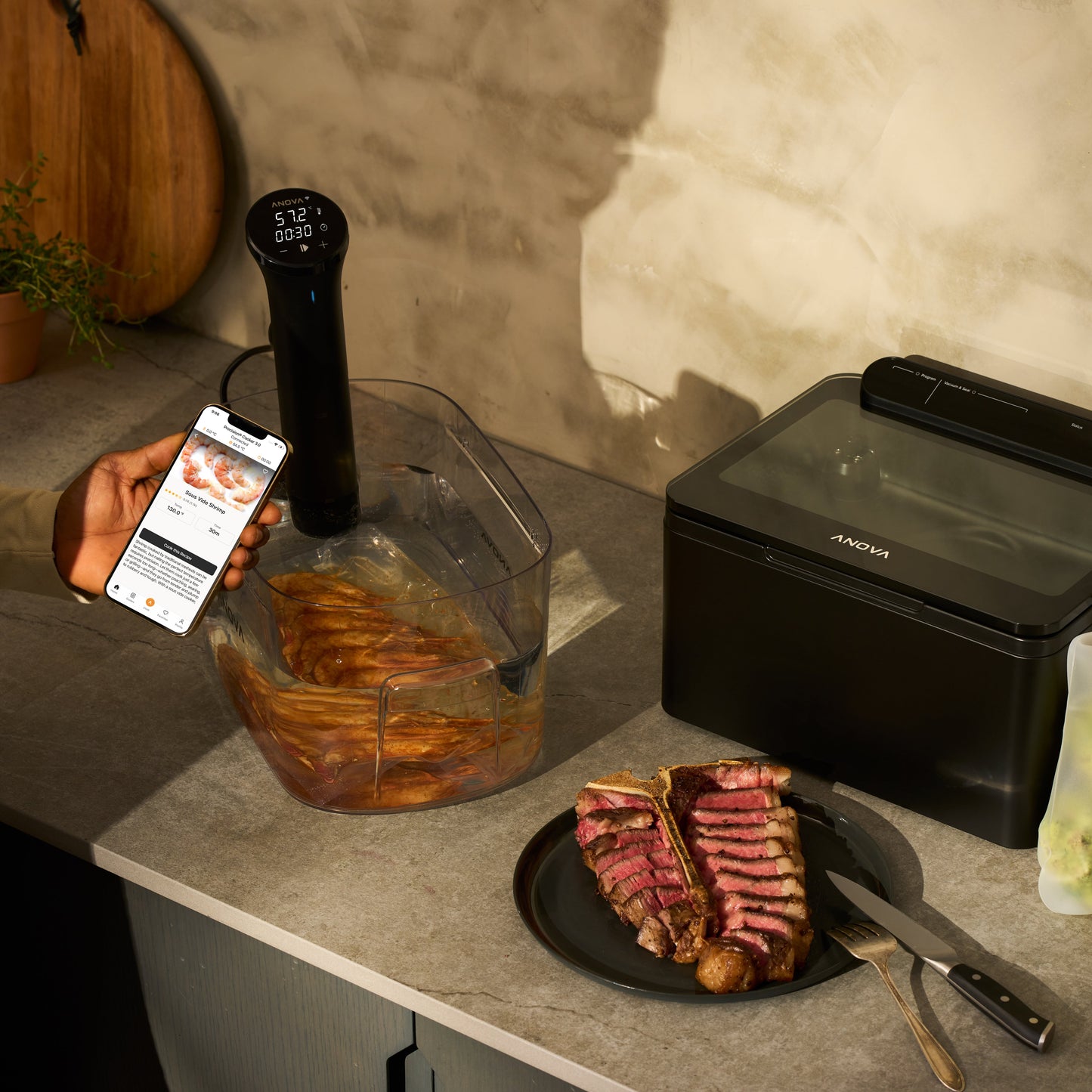Anova Precision® Cooker Nano 3.0