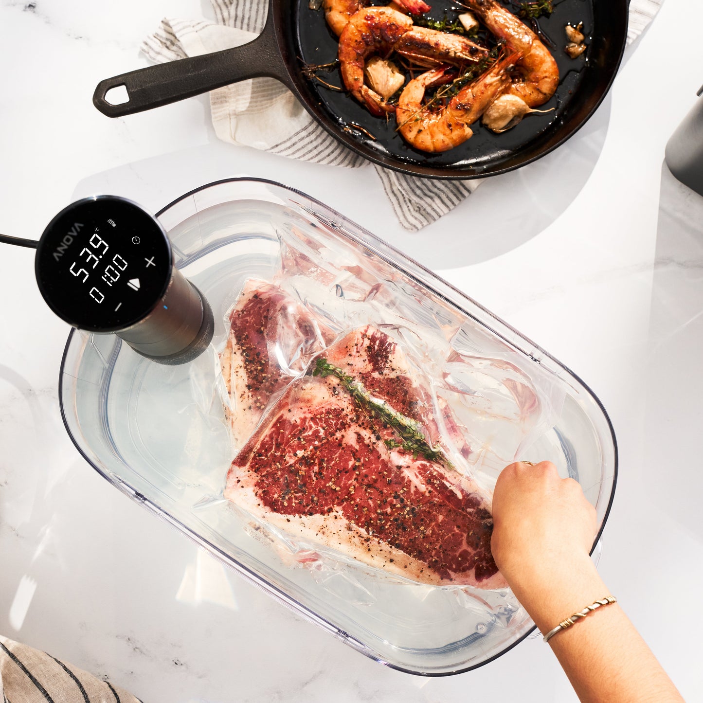 Anova Precision® Cooker Nano 3.0