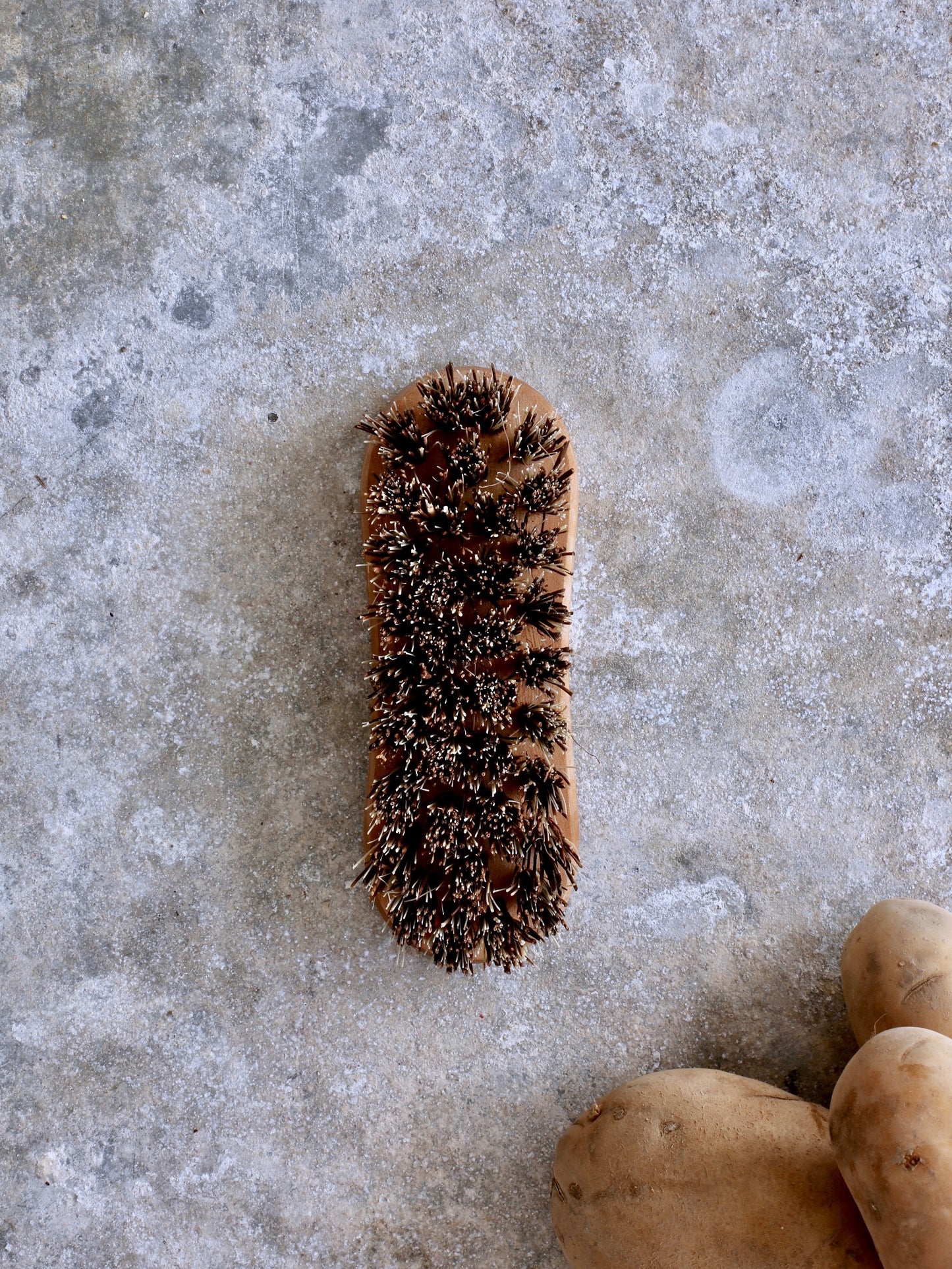 Vegetable Scrubber Brush