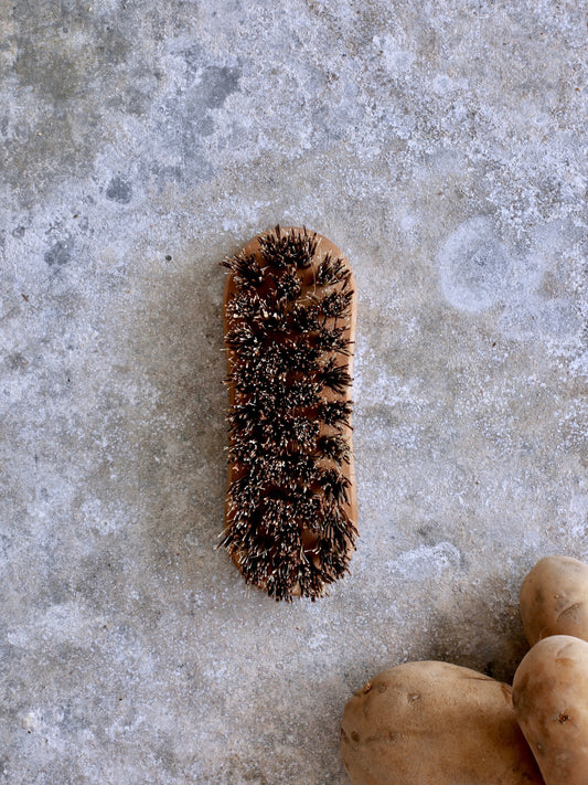 Vegetable Scrubber Brush