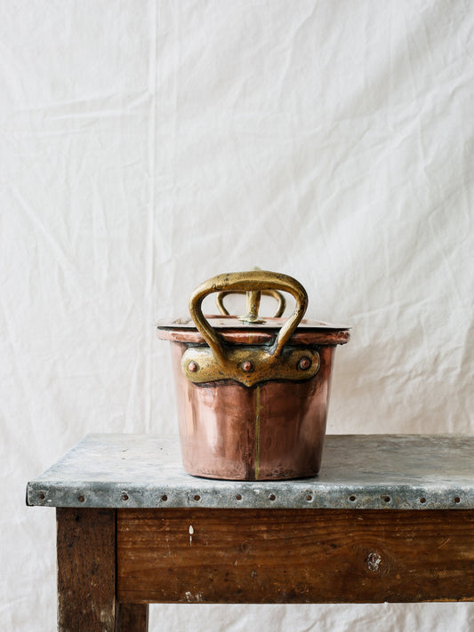 Large Copper Fish Poacher with Lid