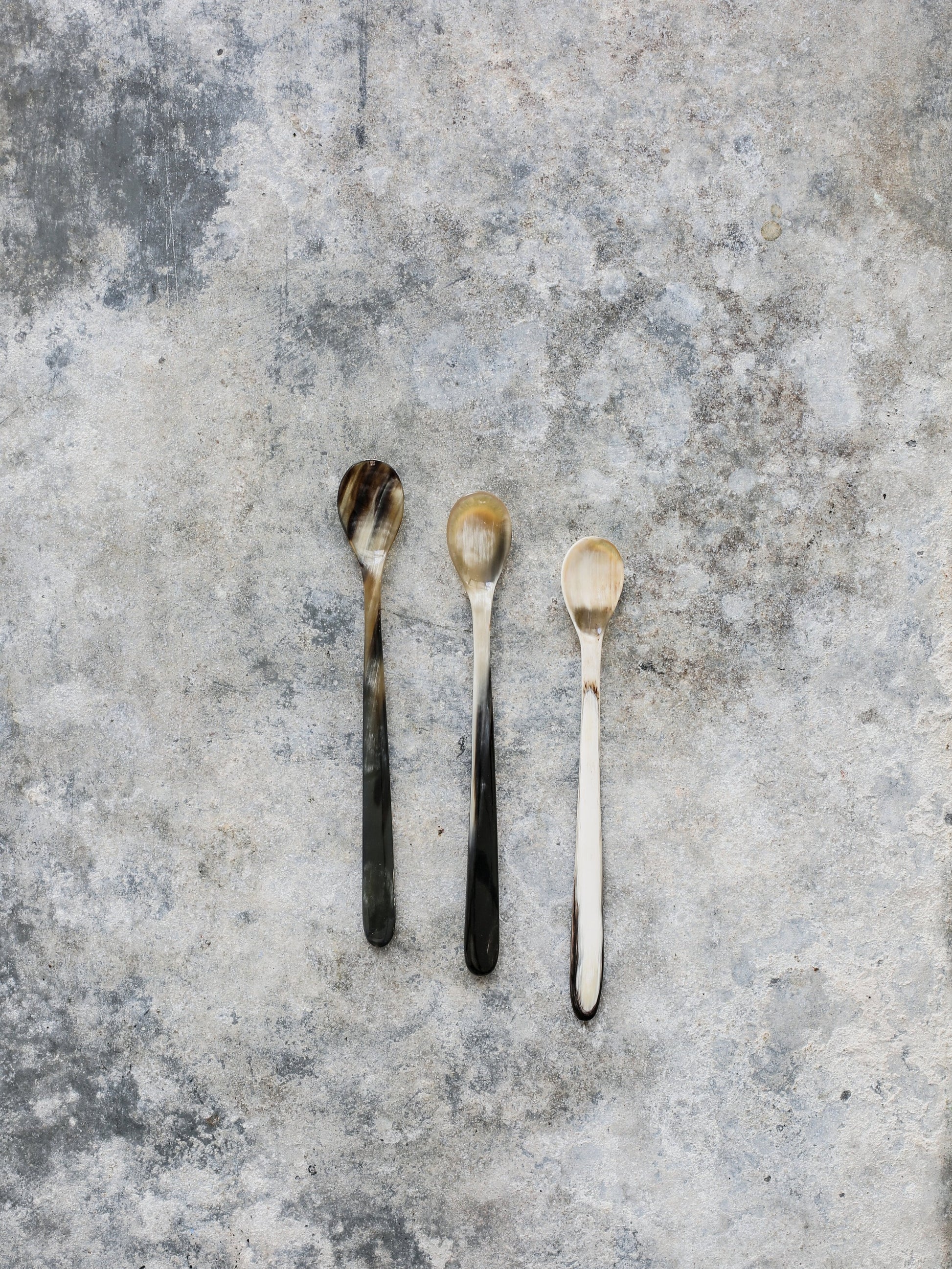 Horn Spoon