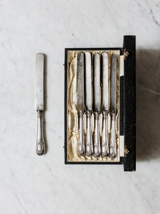 Hotel Silver Dinner Knives Set