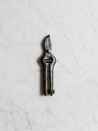 Vintage Secateurs