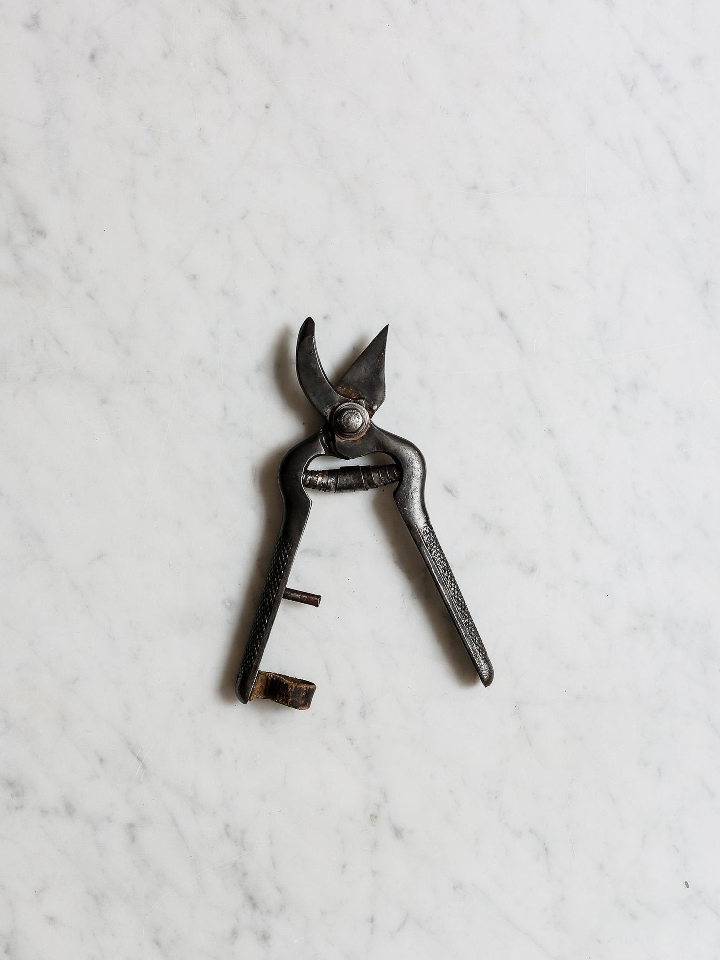 Vintage Secateurs
