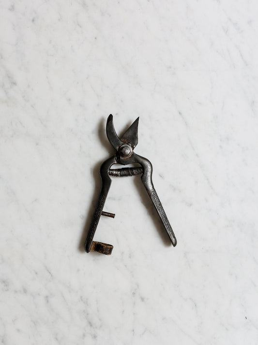 Vintage Secateurs
