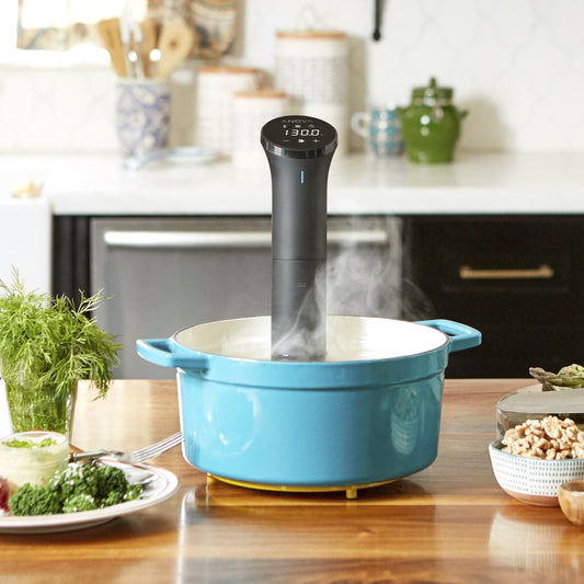 Anova Precision® Cooker Nano