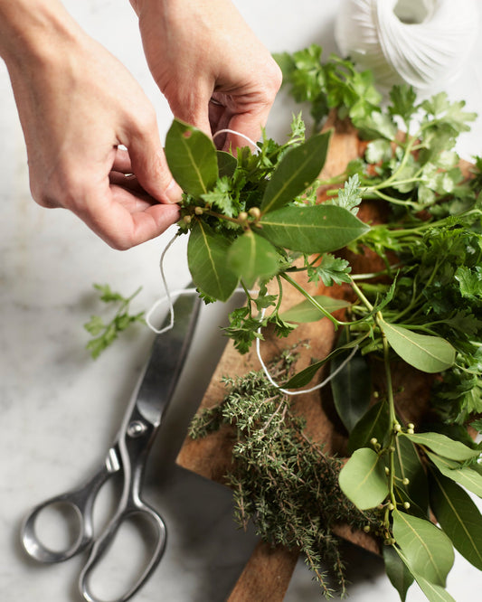 Kitchen Shears