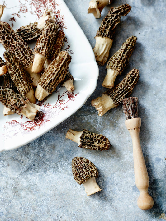Mushroom Brush